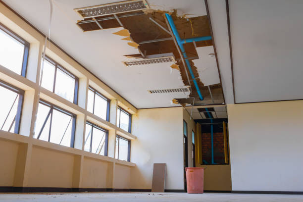 Best Professional water damage repair  in Pleasantville, NY