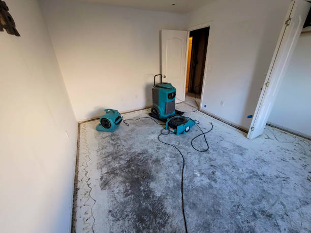 Best Water damage restoration mold remediation  in Pleasantville, NY