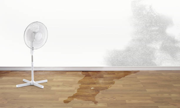 Best Water damage restoration near me  in Pleasantville, NY
