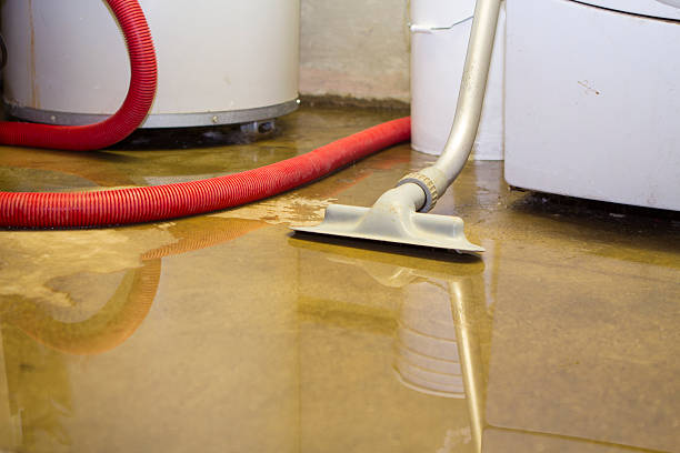 Best Professional water damage repair  in Pleasantville, NY