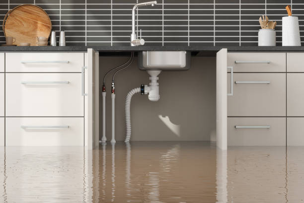 Best 24-hour water damage restoration  in Pleasantville, NY