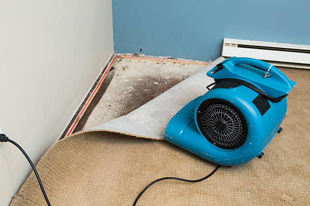 Best Water damage restoration company  in Pleasantville, NY